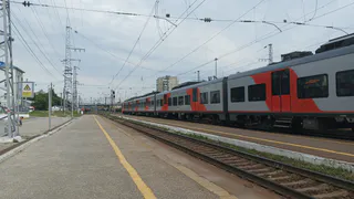 "Вы мне мешаете, уберите свою книгу" – внезапно объявила соседка по купе. Не дома у себя, в конце концов