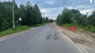 В Коми “Хендай” перевернулся в кювете