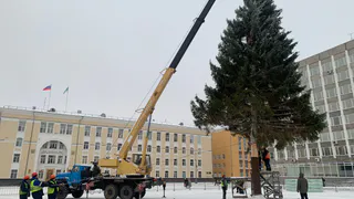 Главную елку в Коми откроют на церемонии 22 декабря
