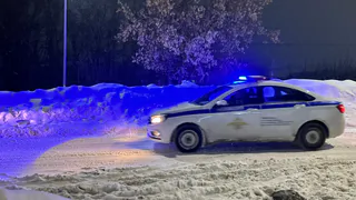 Начальника отдела сахарного завода в Татарстане задержали по подозрению в подкупе