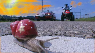 Внимание: не смотрите эти фильмы