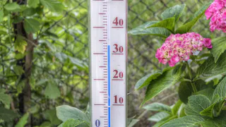 Аномальная жара накроет Россию в июле: где столбики термометров поднимутся до +37