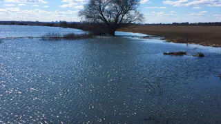 Половодье приближается: на Оке начинает таять лёд