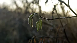 В Рязанской области снова ожидается похолодание