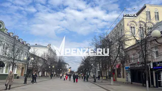 Для многодетных пензенцев начала действовать новая мера поддержки