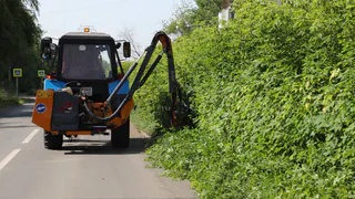 На улицах Магнитогорска работают "зеленые парикмахеры"