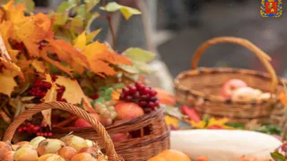 Во Владимире открылась выставка-ярмарка «ВладПродЭкспо» с деликатесами и саженцами