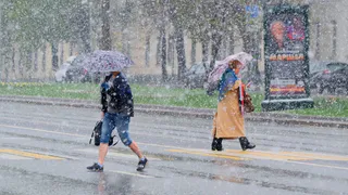 «Начнется 26 августа и будет 13 дней подряд». Синоптики дали неожиданный прогноз