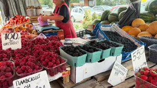 Вот чем торгуют простые люди у дороги, если ехать бесплатно по М-7 из Москвы. Зарабатывают деньги на всем, что только можно