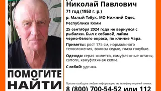 В Коми пропал 71-летний пенсионер с удочкой и собакой