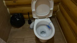 Ходить в туалет на унитаз отныне не в моде: новый туалетный тренд скоро дойдет и до России