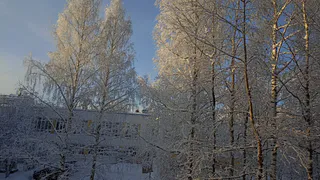 В Челябинскую область придут аномально сильные морозы 17 декабря 