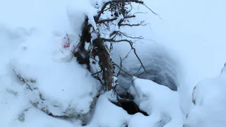 В Рязанской области трое мужчин погибли в канализации