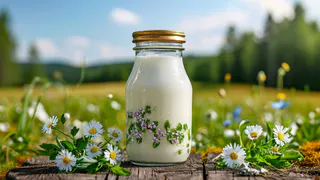 Не чай, не кофе, не какао: ученые назвали лучший напиток для утра - омолаживает кожу и радует кишечник