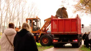 В Нижнекамске, 10 октября, более сотни студентов вышли на уборку лесного парка «Урман»