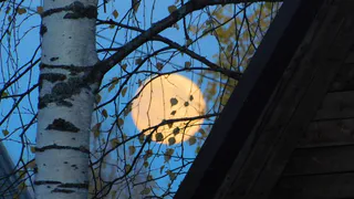 В Чувашии 11 октября ожидается теплая, но пасмурная погода