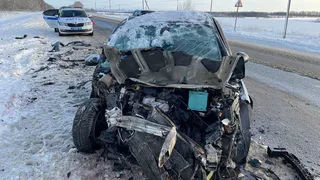 Под Рязанью в ДТП с Peugeot пострадали два водителя и два ребёнка