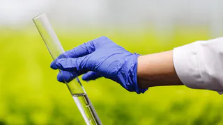 Областное сельхозпредприятие ответит за ненадлежащее хранение агрохимикатов