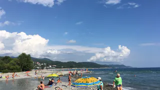 «Море грязное и люди мерзкие»: честный отзыв туристов об отдыхе на курортах Черного моря 