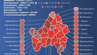 За сутки от коронавируса умерли 13 брянцев