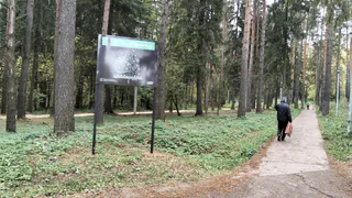 В лесах Татарстана станет опасно из-за возможных пожаров