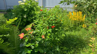 С 9 апреля окончательно будет запрещена установка заборов на даче: их придётся сломать