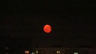 28 октября жители Пензы увидят «Кровавую Охотничью Луну»