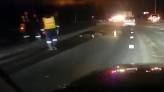 В ДТП на трассе М5 в Рыбновском районе погиб 35-летний пешеход