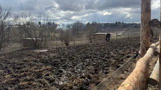 Рязанские учёные получили серебро на выставке за инновационные проекты в агрономии