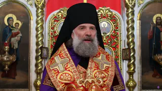 Скопинский епископ Питирим объяснил опасность Гарри Поттера и Мастера и Маргариты