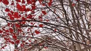 Погода в Челябинской области продолжает капризничать