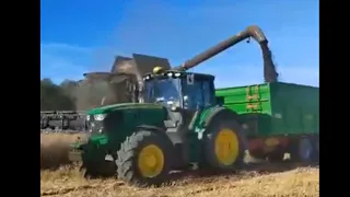 До 2030 года область планирует увеличить экспорт АПК до 300 миллионов долларов