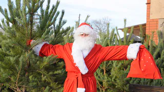 Пензенским продавцам елок порекомендовали нарядиться в костюмы