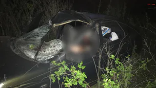 Под Рязанью водитель сбил лося и погиб на месте