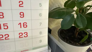 В Брянской области объявили нерабочий день на Радоницу