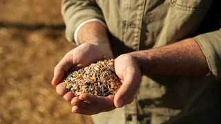 «Русское поле - 2024». Селекция для агропромышленности в интересах бизнеса