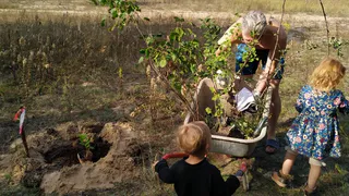Активисты хотят сделать в Заборье дендрапарк