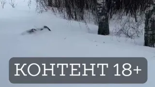 Прокуратура Рязанской области проверит информацию о смерти инвалида из-за нечищеного снега