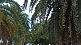 Фрукты и еда дороже в три раза: россиянка оставила честный отзыв об отдыхе в Абхазии