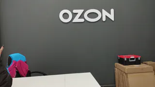 Устроилась работать в "Ozon", так как другой работы просто не было - уволилась меньше, чем через месяц - вот, в чем причина