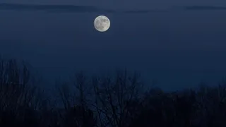 В ноябре жители Владимирской области смогут наблюдать за так называемой Бобровой луной