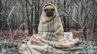 Прогноз на неделю - синоптики предупреждают о минусовой температуре