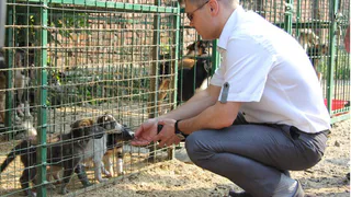 Рязанский мэр передал щенка, взятого в МП "Лайка", родителям