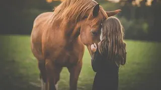 Еремей Распрягальник: что не стоит делать 13 июня