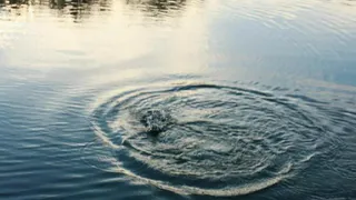 В Сараевском районе в пруду утонул 17-летний подросток