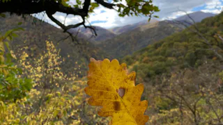 Тепло вернётся или грянут морозы? Прогноз уже известен: что сказал синоптик?