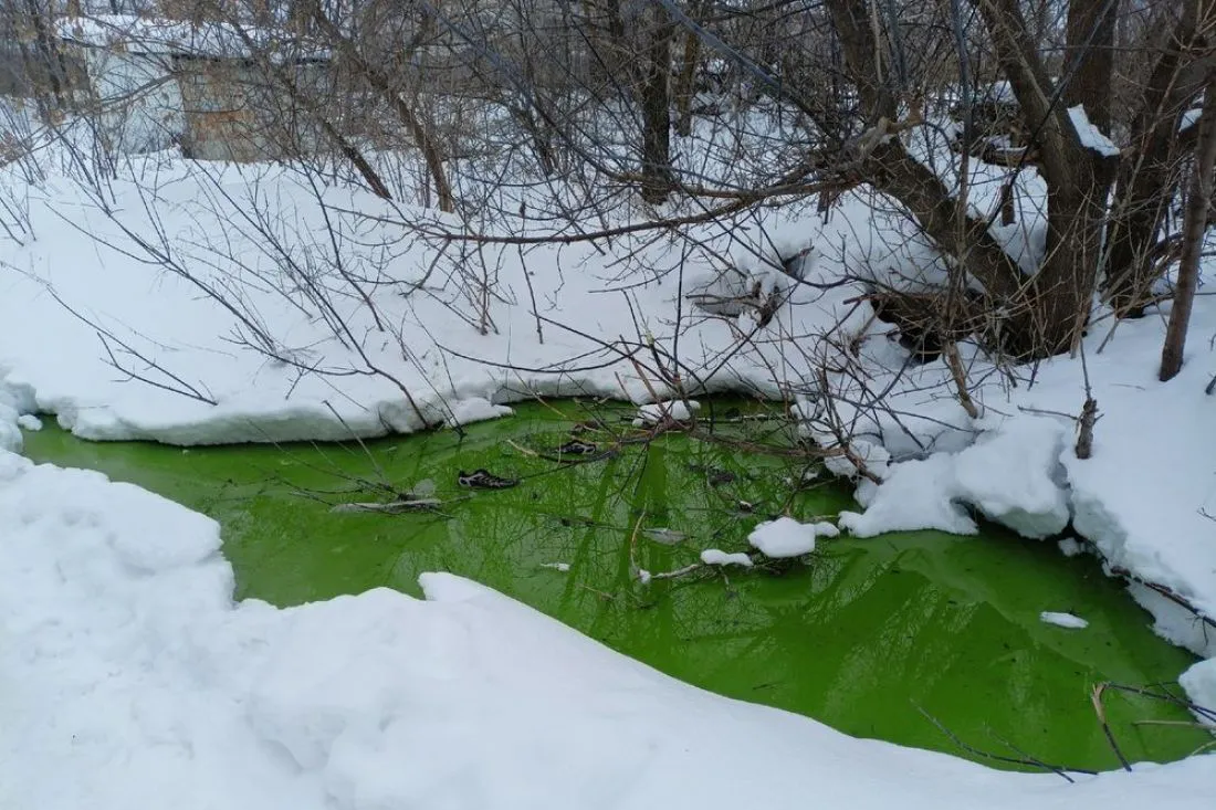 Зеленая жидкость возле жилых домов: комментарий от МУП "Водоканал" Кузнецка