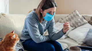 Почти 80% опрошенных брянцев не обращались к врачам при симптомах COVID-19