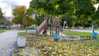 Рязанские подростки устроили «зацеппинг» на детском паровозе в Лесопарке