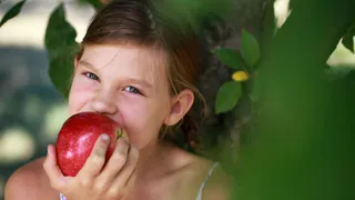 Приметы и запреты на 19 августа: едим освященные яблоки